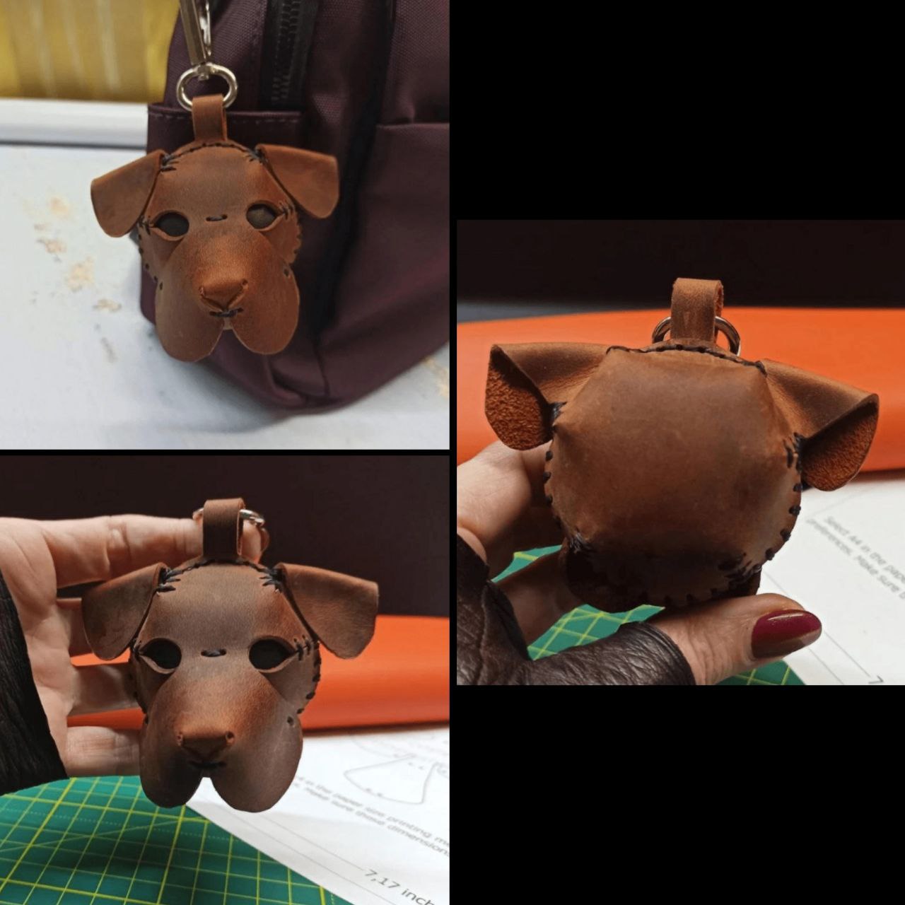 Perro 5