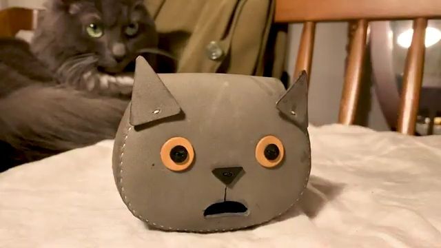 Monedro Gato 